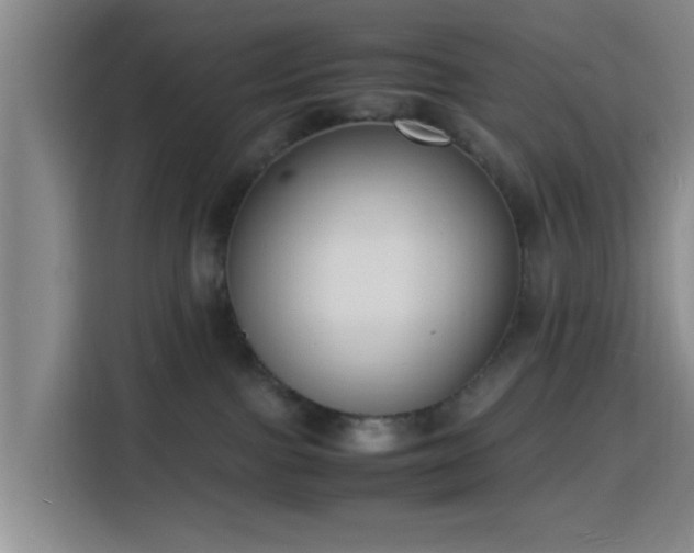 X0000116140091200911231320