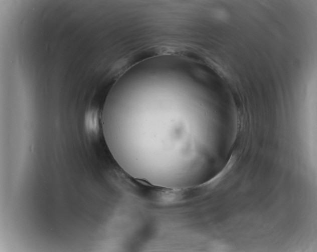 X0000116140094200911231320