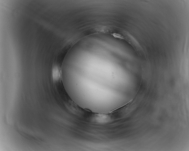 X0000116140095200911231320