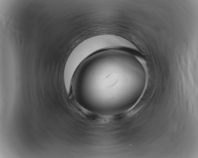 X0000116140096200911231320