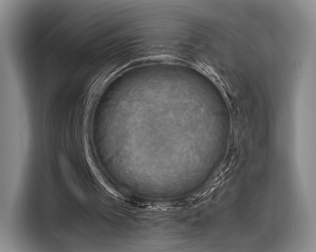 X0000116140097200911231319