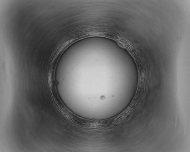 X0000116140098200911231319
