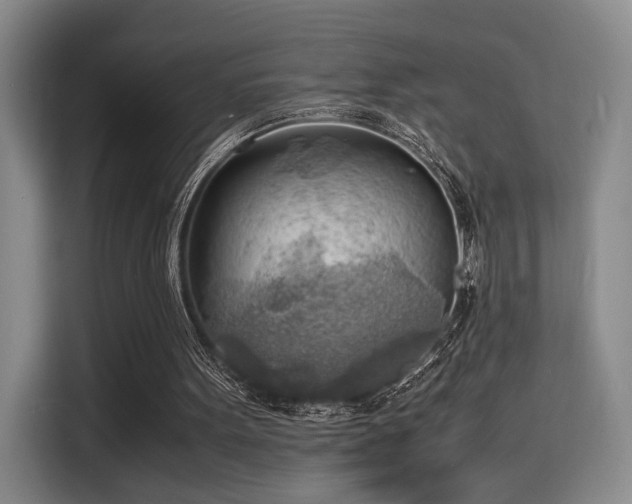 X0000116140099200911231319