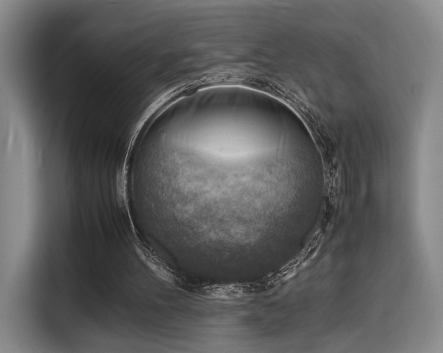 X0000116140100200911231319