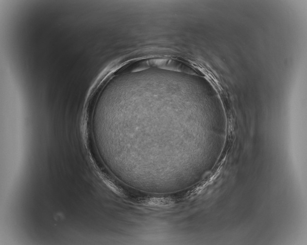 X0000116140101200911231319