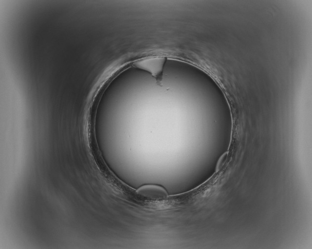 X0000116140103200911231319