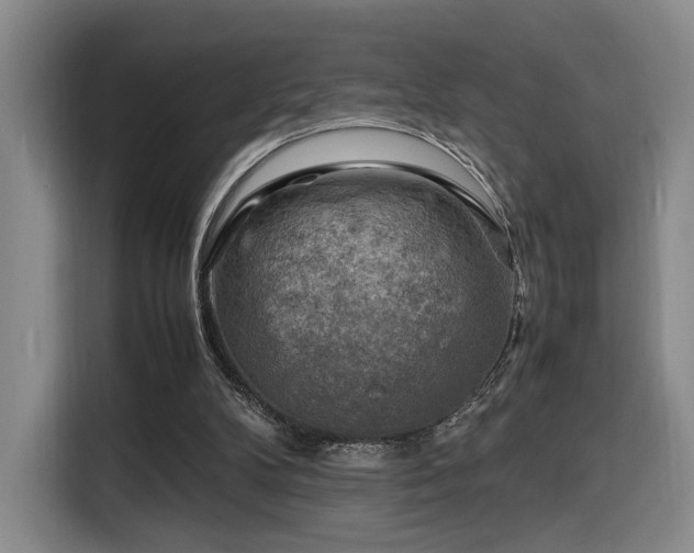 X0000116140104200911231319