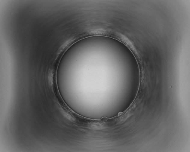 X0000116140106200911231319