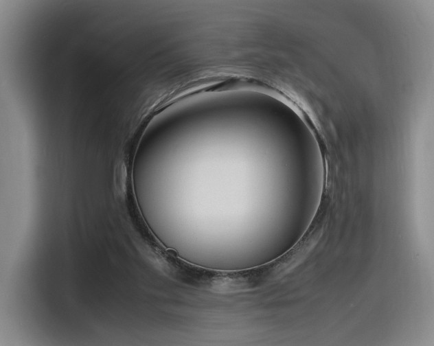 X0000116140109200911231319