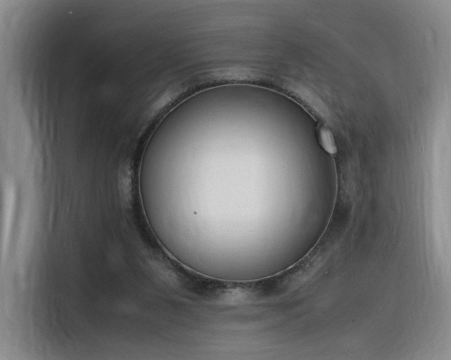 X0000116140111200911231319