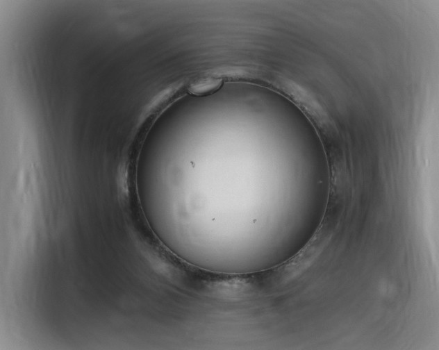 X0000116140112200911231319