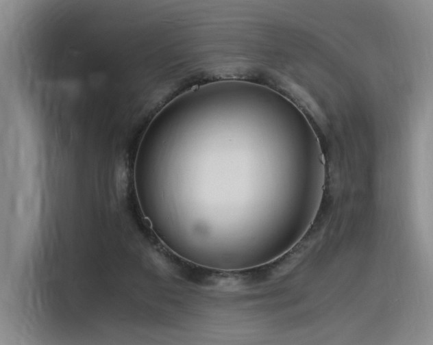X0000116140113200911231319