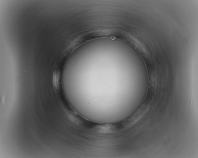 X0000116140118200911231319