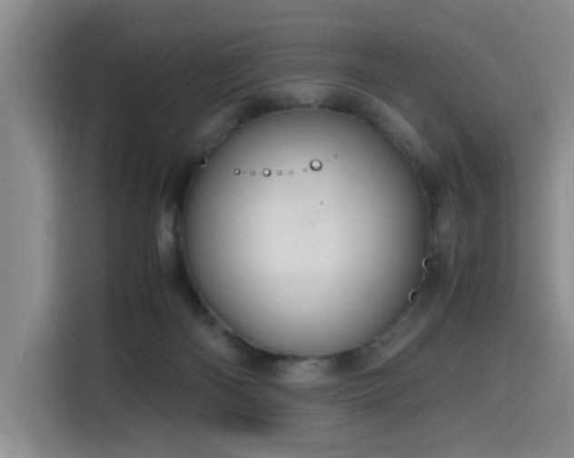X0000116140122200911231319