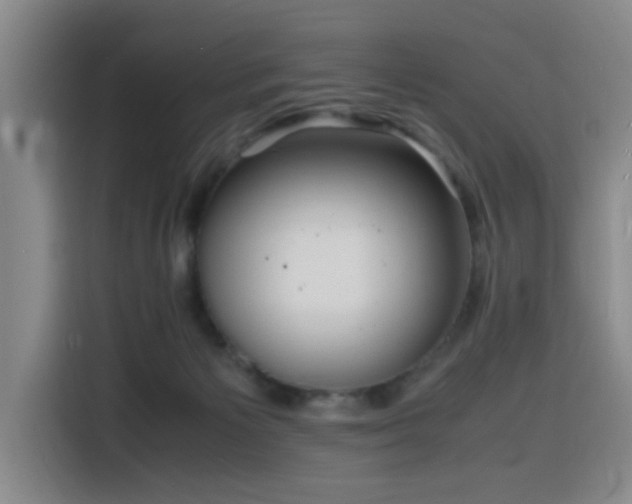 X0000116140125200911231319