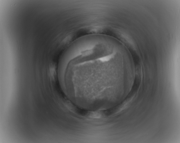X0000116140127200911231319