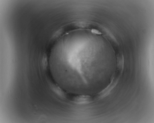 X0000116140128200911231319
