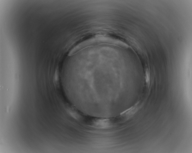 X0000116140132200911231319