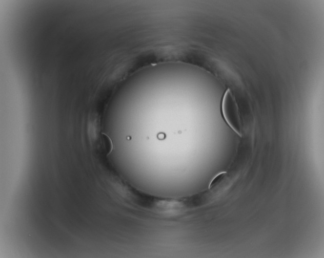 X0000116140133200911231319