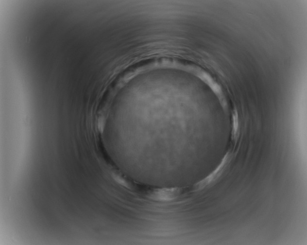X0000116140136200911231319