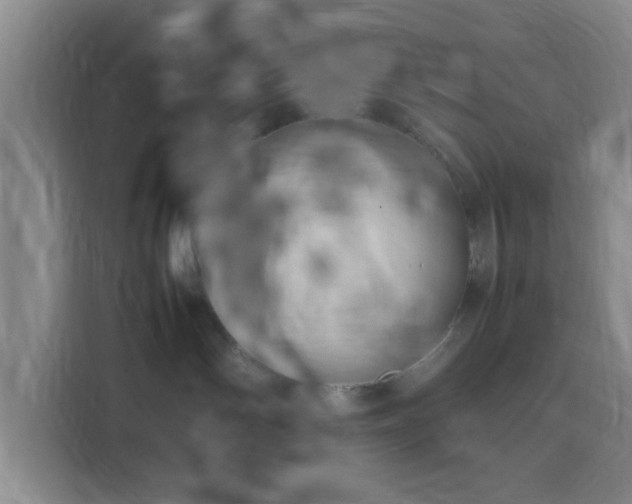X0000116140142200911231319