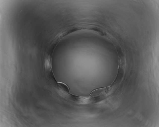 X0000116140143200911231319