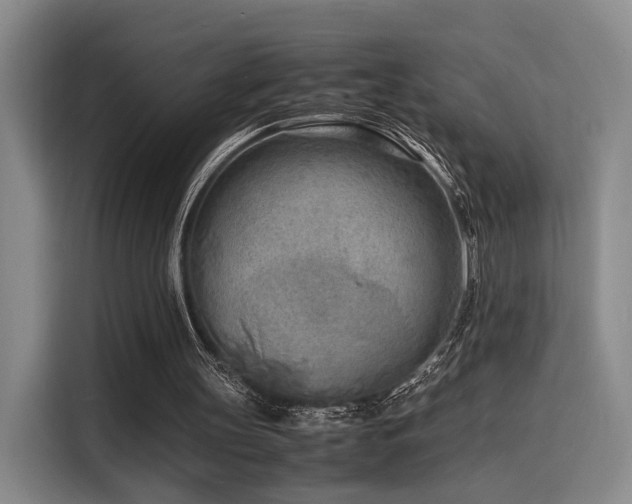 X0000116140147200911231318