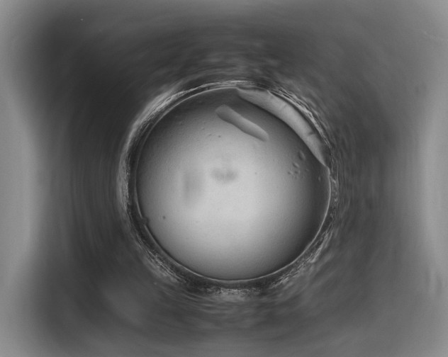 X0000116140149200911231318