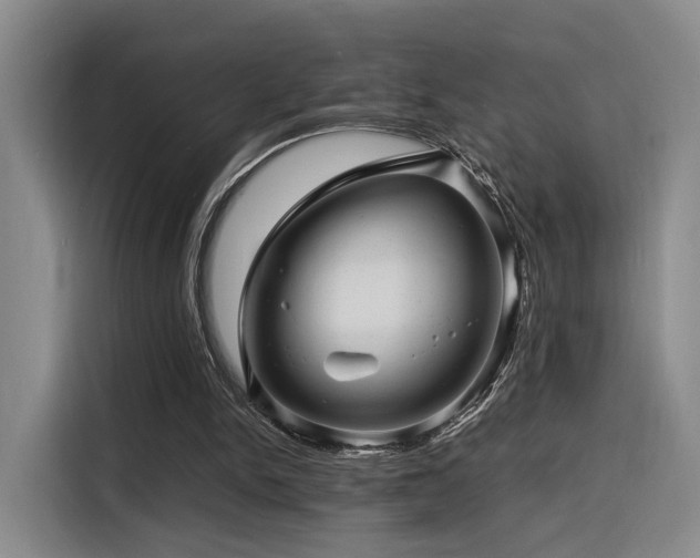 X0000116140150200911231318