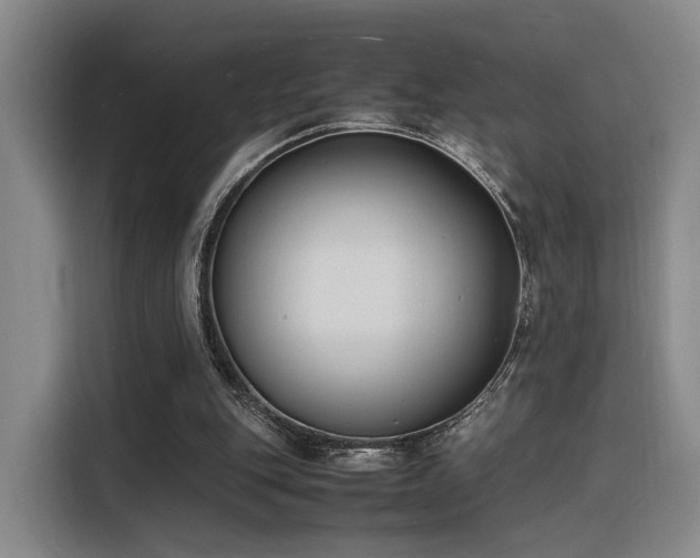 X0000116140151200911231318