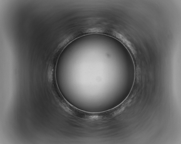 X0000116140153200911231318