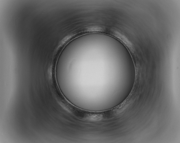 X0000116140155200911231318