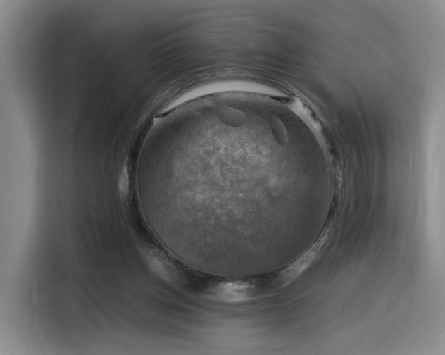 X0000116140158200911231318