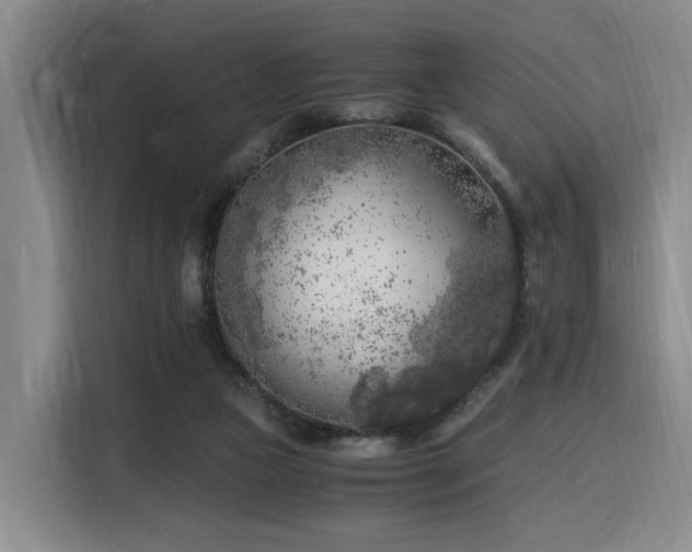 X0000116140161200911231318