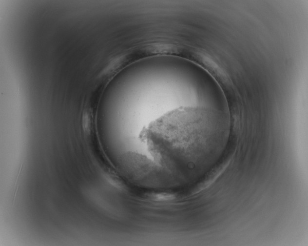 X0000116140165200911231318