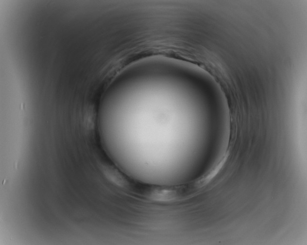 X0000116140174200911231318