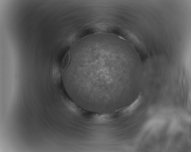 X0000116140186200911231318