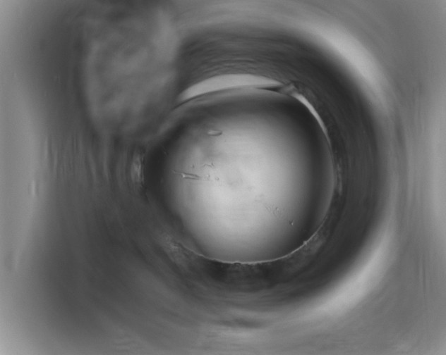 X0000116140190200911231318