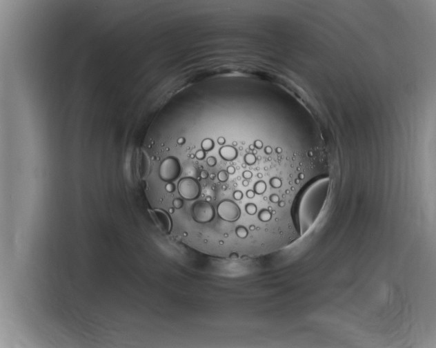 X0000116140191200911231318