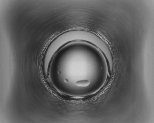 X0000116140193200911231318
