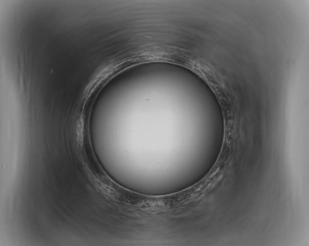 X0000116140194200911231318