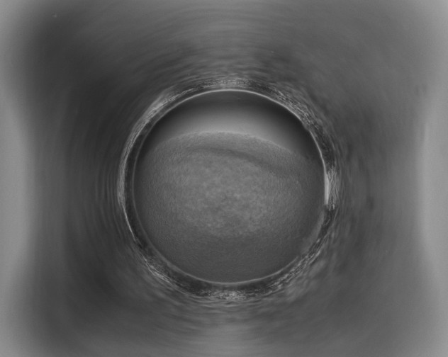 X0000116140195200911231318