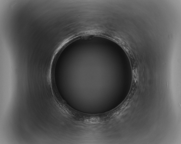X0000116140196200911231318