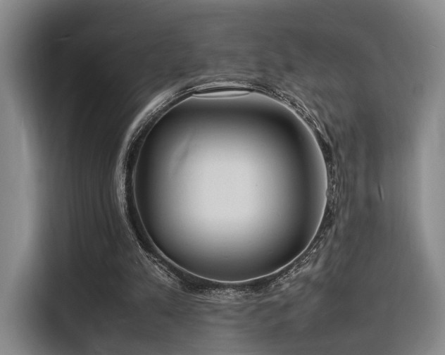 X0000116140197200911231318