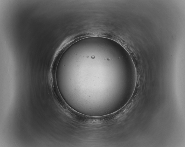 X0000116140198200911231318
