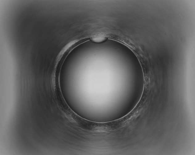 X0000116140200200911231318