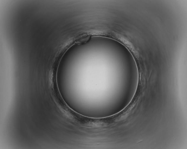 X0000116140201200911231318