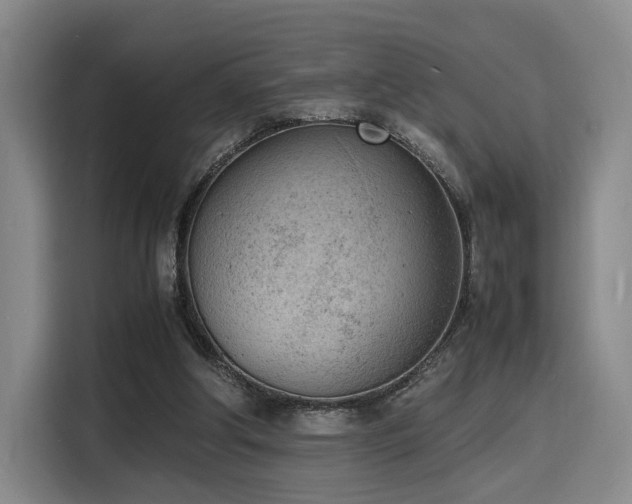 X0000116140202200911231318