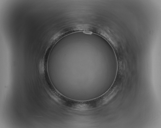 X0000116140203200911231318