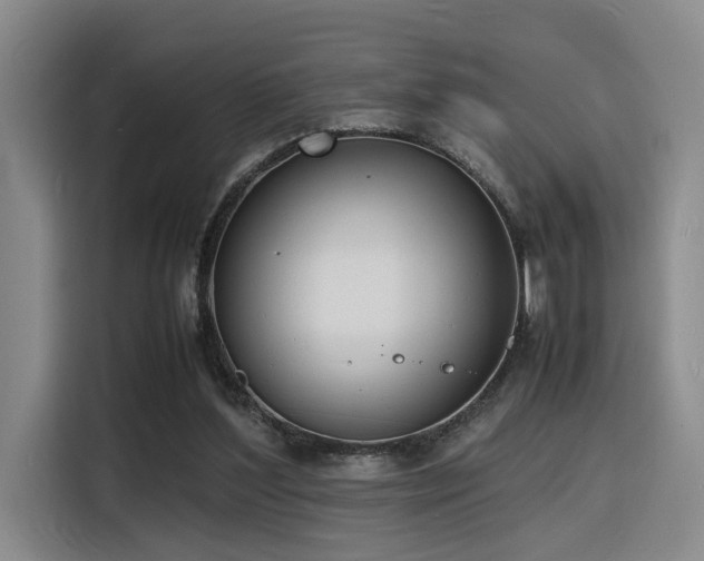X0000116140204200911231318